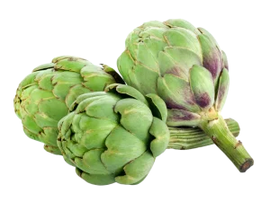Carxofes