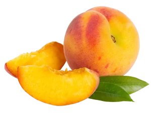 Préssec