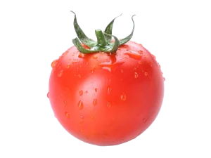 Tomàquet
